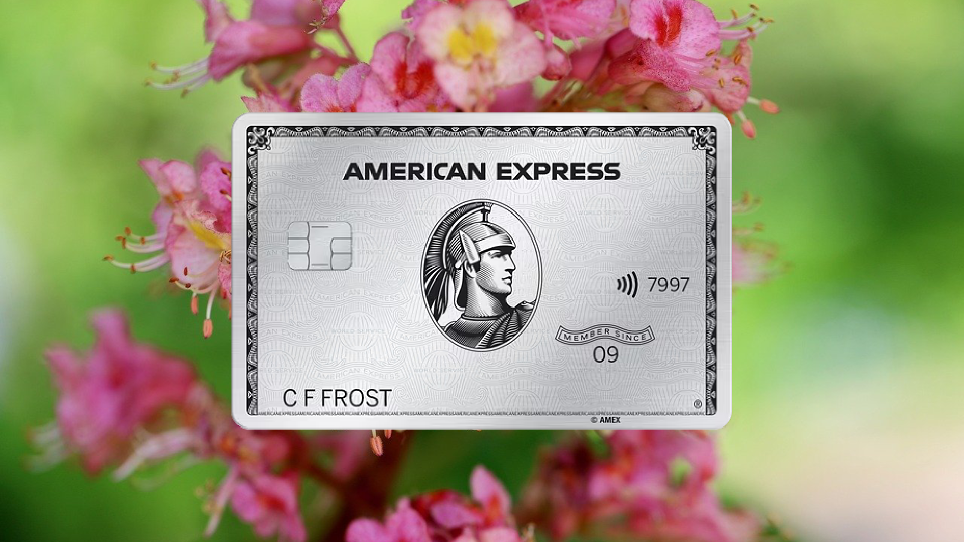 How to Apply for the American Express Platinum Credit Card Step-by-Step Guide