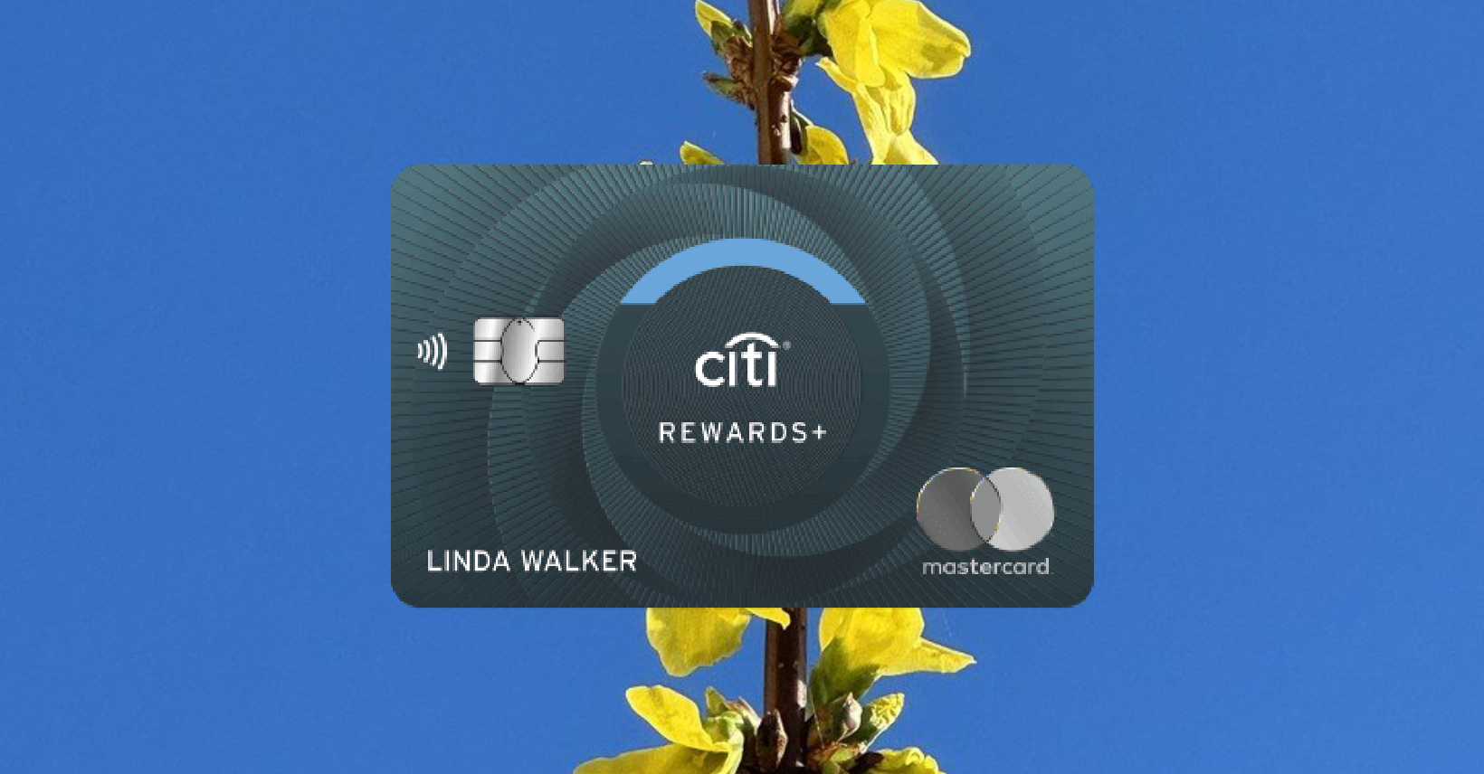 How to Apply Online for the Citi Rewards Credit Card – Easy Guide